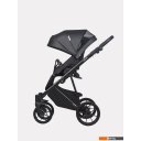 Детские коляски и аксессуары Riko Basic Leon (2 в 1, 04 черный) Детские коляски и аксессуары Riko Basic Leon (2 в 1, 04 черный)