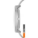 Наручные часы Skagen SKW2561