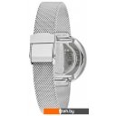 Наручные часы Skagen SKW2596
