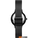Наручные часы Skagen SKW3112