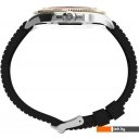 Наручные часы Timex TW2V27300