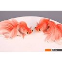 Предметы сервировки Lefard Золотая рыбка 58-073