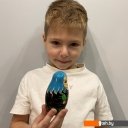 Развивающие игрушки Брестская Фабрика Сувениров Приключения Буратино (набор 5 шт)