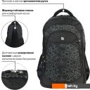 Рюкзаки BRAUBERG Стихия 225289