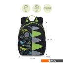 Рюкзаки Grizzly RS-374-8 (черный)