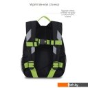 Рюкзаки Grizzly RS-374-8 (черный)