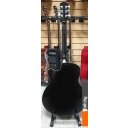 Гитары Elitaro E4040 Lone