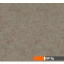 Кухонные мойки Zigmund & Shtain Rechteck 645 (осенняя трава)