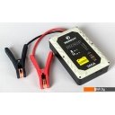 Пуско-зарядные устройства Беркут JSC-300C