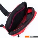 Рюкзаки Ecotope 360-151-RED