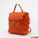 Рюкзаки Passo Avanti 536-2301-ORN (оранжевый)