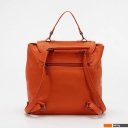 Рюкзаки Passo Avanti 536-2301-ORN (оранжевый)