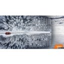 Автомобильные шины Pace Antarctica Ice 215/55R17 94T (шипы)