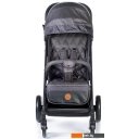 Детские коляски и аксессуары Acarento Antero AS121 (black)