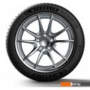 Автомобильные шины Michelin Pilot Sport 4 S 215/45R20 95Y