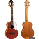 Гитары Flight Iris RD