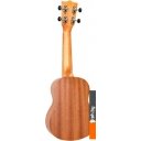 Гитары Flight NUS350 DC