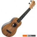 Гитары Flight TUS50 NAT