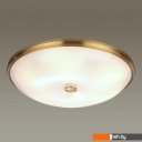 Светильники, люстры, бра, споты Odeon Light Pellow 4956/5
