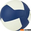 Мячи Gala Mistral 12 BV 5665 S (размер 5, белый/синий)