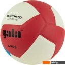 Мячи Gala Training Heavy 12 BV 5475 S (размер 5, белый/синий)