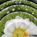 Тарелки, салатники, блюда и наборы Taitu Prati Italiani Front View 2-90-C