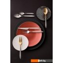 Столовые приборы Bugatti Ares ASBG-004F50 (24 пр, матовая сталь/серый)