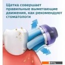 Электрические зубные щетки и ирригаторы Oral-B Vitality D100 Starterkit + 2 насадки (серый)