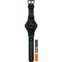 Наручные часы Casio G-Shock DW-6900MS-1E