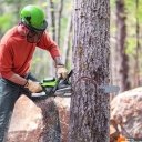 Цепные электро- и бензопилы Greenworks OCS600 2009607 (без АКБ) Цепные электро- и бензопилы Greenworks OCS600 2009607 (без АКБ)