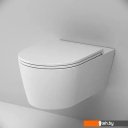 Унитазы AM.PM Func C8F1700SC