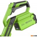 Триммеры Greenworks G40LT331 2113507UA (с 1-им АКБ)