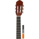 Гитары Naranda CG120-1/2