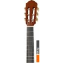 Гитары Naranda CG220-1/2