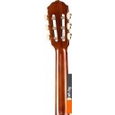 Гитары Naranda CG220-1/2