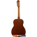 Гитары Naranda CG320-4/4