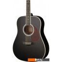 Гитары Naranda DG220BK