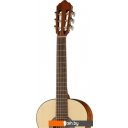 Гитары Parkwood PC90-WBAG-OP