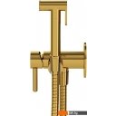 Душевые системы и гарнитуры Whitecross SYSYBI2GL (золото)