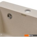 Кухонные мойки Wisent 420-30W (с сифоном GER013)