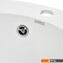 Кухонные мойки Wisent 480-28WR (с сифоном GER013)