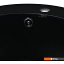 Кухонные мойки Wisent 510-25WR (с сифоном GER013)