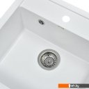 Кухонные мойки Wisent 510-28W (с сифоном GER013)