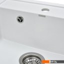 Кухонные мойки Wisent 510-28W (с сифоном GER013)