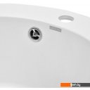 Кухонные мойки Wisent 510-28WR (с сифоном GER013)