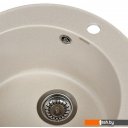 Кухонные мойки Wisent 510-30WR (с сифоном GER013)