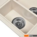 Кухонные мойки Wisent 580-30WQ (с сифоном GER011)