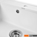 Кухонные мойки Wisent 600-28W (с сифоном GER013)