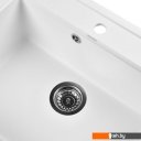 Кухонные мойки Wisent 600-28W (с сифоном GER013)