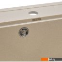 Кухонные мойки Wisent 600-30W (с сифоном GER013)